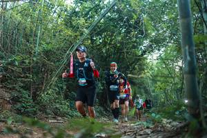 BIB: 
                            <button type="button" onclick="openModal(28025372)" class="btn btn-primary btn-sm float-right btn-popup" data-toggle="modal" data-target=".modal-high-quality">
                        <i class="fas fa-shopping-cart"></i> Add to Cart
                    </button>
                                            <button type="button" onclick="isThisMe(28025372, true)" class="btn btn-success btn-sm float-right btn-popup btn-isme hidden" data-toggle="tooltip" data-placement="bottom" title="นี่คือรูปของคุณใช่ไหม คลิกที่นี่เพื่อเอาเข้าอัลบั้ม">
                        <i class="fas fa-plus"></i> Add to album
                    </button>
                    <button type="button" onclick="isThisMe(28025372, false)" class="btn btn-warning btn-sm float-right btn-popup btn-isnotme hidden">
                        <i class="fas fa-ban"></i> Remove from album
                    </button>